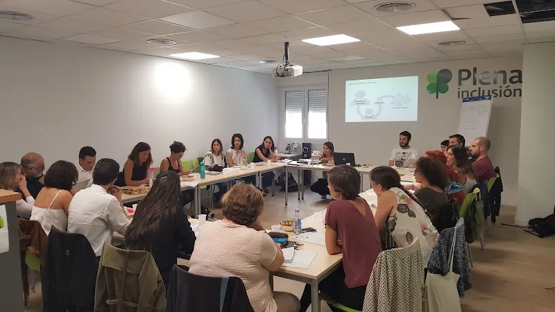 Plena Inclusión España - Organización no gubernamental en Madrid - foto 2