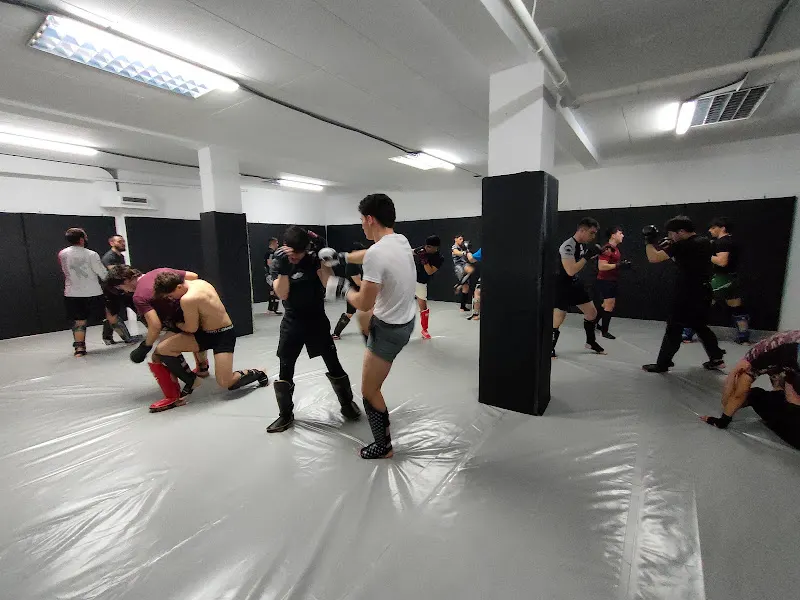 Splinters Jiu-jitsu & MMA