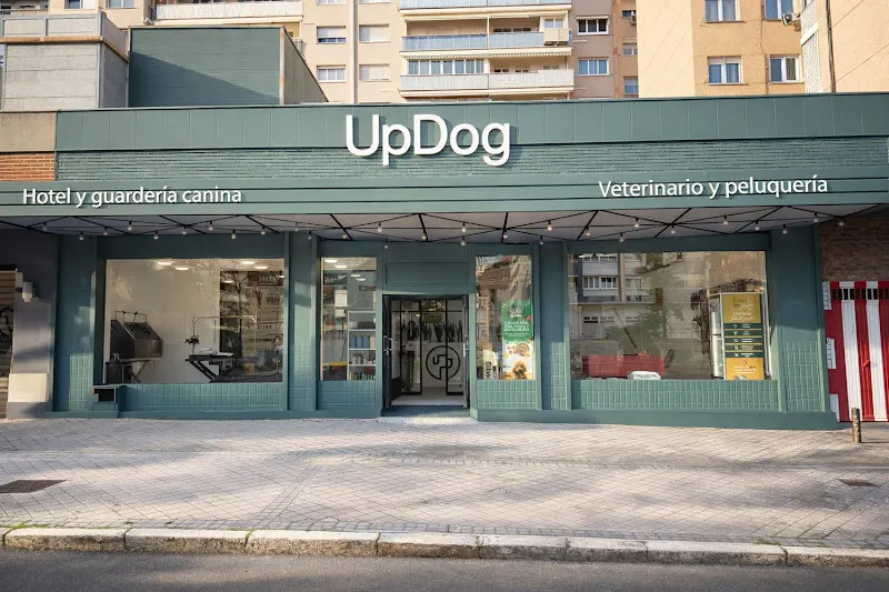 UpDog Hotel y Guardería Canina - Guardería canina en Madrid - foto 2