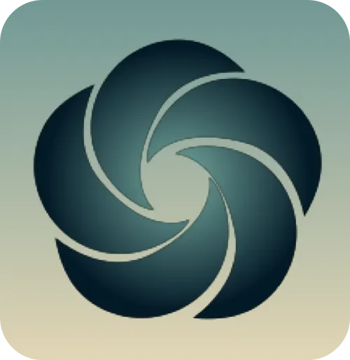 Vortex Marketing Digital