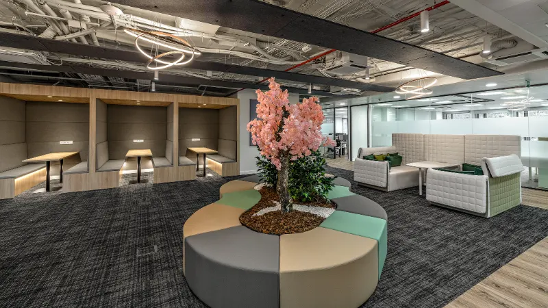 Networkia Castellana - Espacio de coworking en Madrid - foto 4
