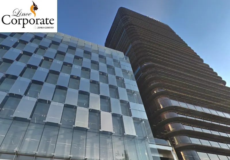 Lince Corporate (Madrid) - Consultora financiera en Madrid - foto 2