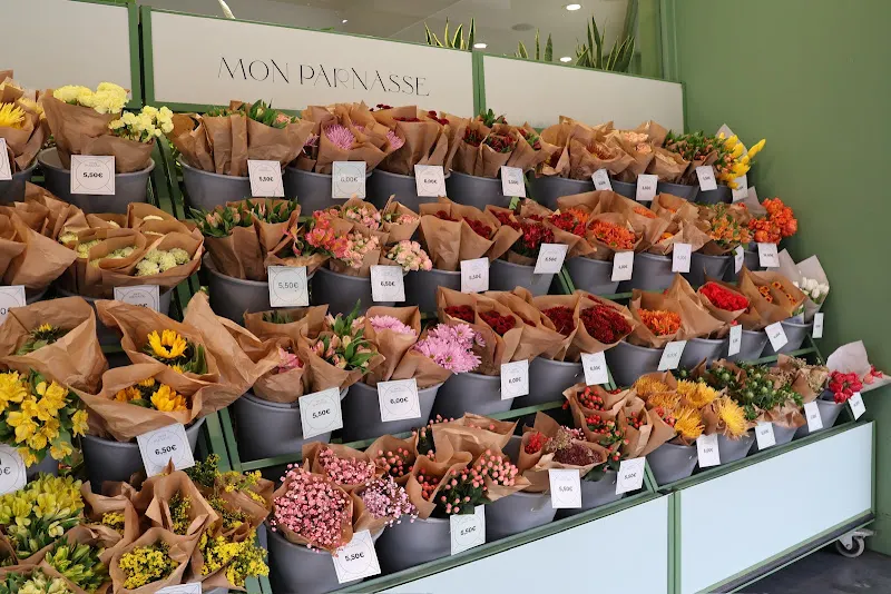 Mon Parnasse Flores - Dulcinea