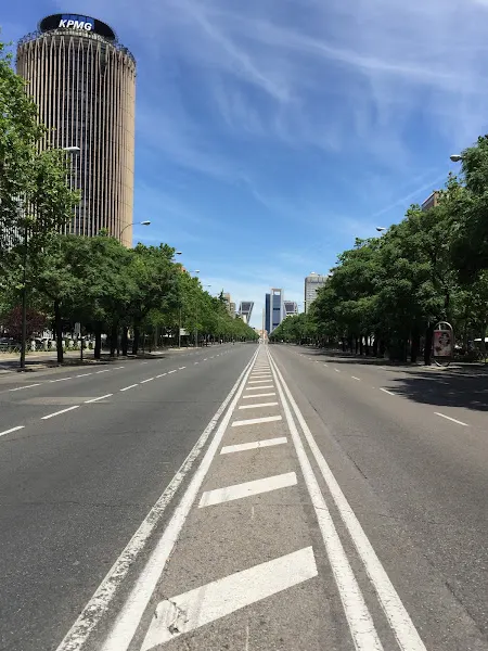 APP Consultoría de Gestión de Proyectos S.L. - Madrid