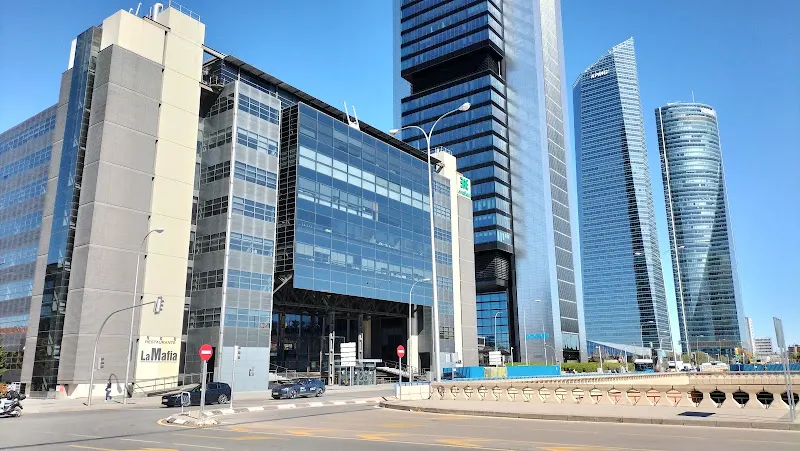 Saebi - Madrid - Consultora de administración empresarial en Madrid - foto 2