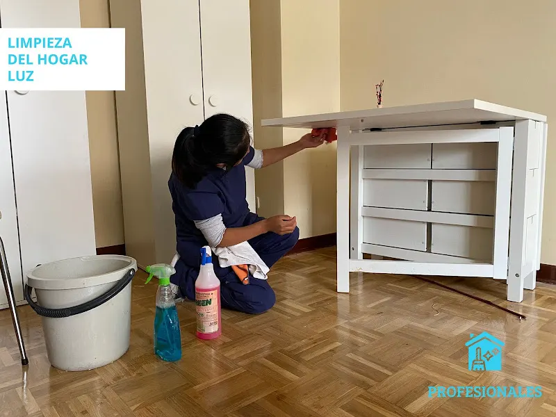 Limpieza Del Hogar Luz