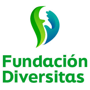 Fundación Diversitas Madrid