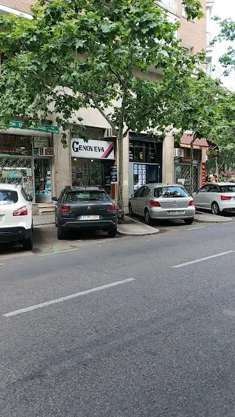 Genoveva